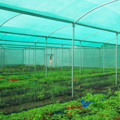 All Sports Nets in Pune