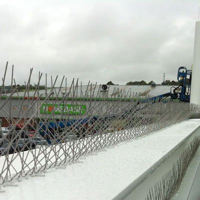 Bird Spikes 